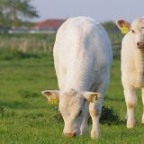 IMGP9161 von Jochen Ruser